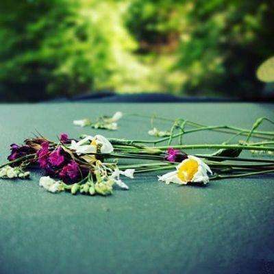 m6米乐官方入口app下载