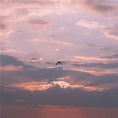 BB贝博平台登录app下载截图