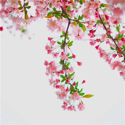 hth·华体育官方入口